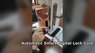 स्वचालित स्मार्ट डिजिटल लॉक कोर एपीपी वाईफाई ब्लूटूथ अनलॉकिंग