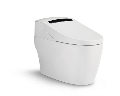 जलरोधक वायु शुद्धिकरण एक्रिलिक एबीएस बुद्धिमान फ्लशिंग शौचालय सीट