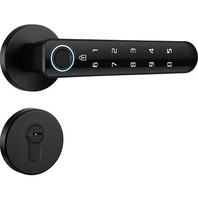 TTLock इलेक्ट्रॉनिक कोड लॉक रिमोट कंट्रोल वाईफ़ाई ब्लूटूथ नियंत्रित लॉक